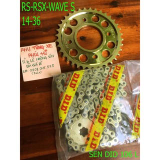 Nhông Sên Dĩa Vàng RS/RSX/WAVES 110 & Nhiều Xe - NSD DID Vàng