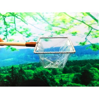 Vợt vớt cá Betta - Guppy - Show cá cảnh - trang trí hồ cá