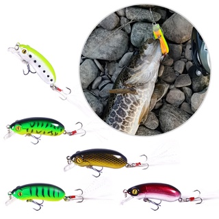 Mồi câu cá giả lưỡi dài cc60 rock chubby 6cm10g chất liệu cứng