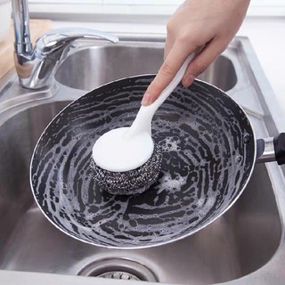 Cây cọ búi sắt có tay cầm