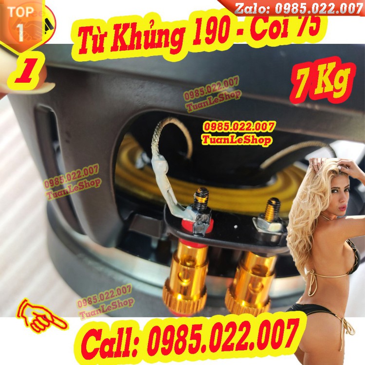 LOA BASS 25 NR TỪ 190 CÔN 75 – GIÁ 01 CỦ LOA 25