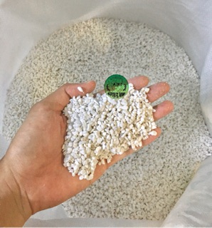 Đất ấp trứng bò sát