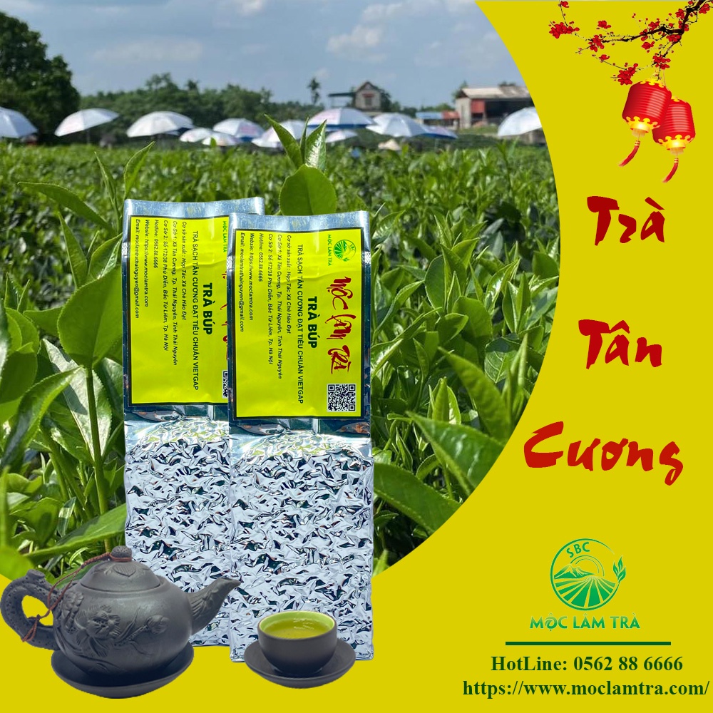 [Trà Búp Thái Nguyên] gói 100g - Tân Cương - Thái Nguyên