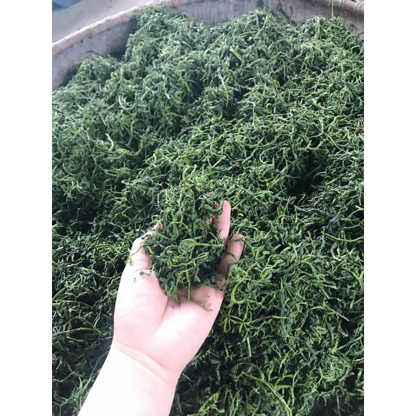 Chè sạch Thái nguyên