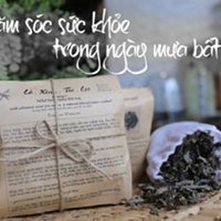 TRÀ XÔNG XOANG THẢO DƯỢC