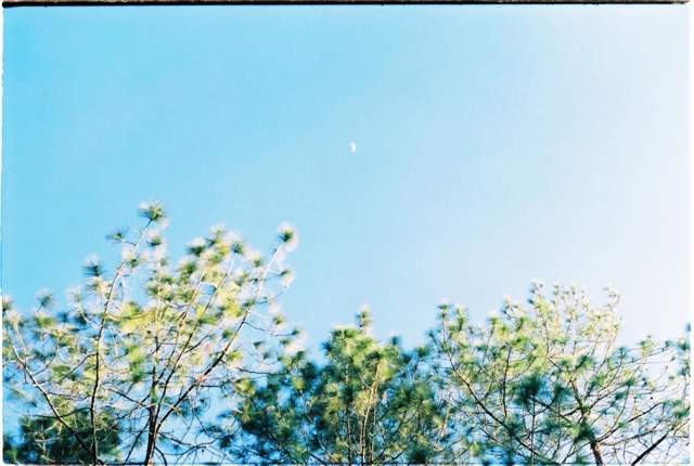 Phim Kodak Max Versatility 400