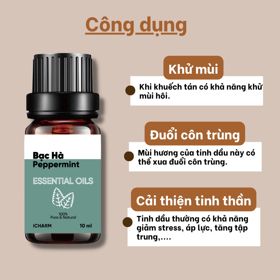 Tinh dầu bạc hà 10ml 50ml iCHARM