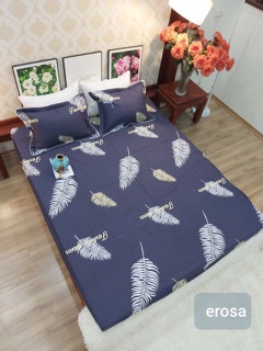 Bộ ga chun cotton Hàn Quốc 1,6*2m