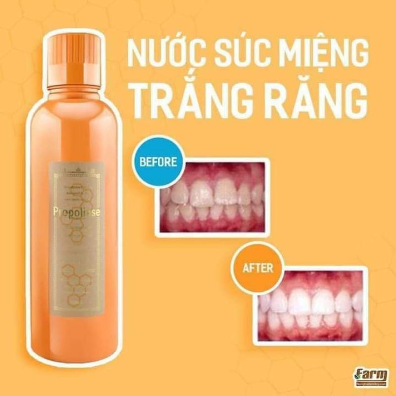 Nước súc miệng Propolinse Nhật Bản 600ml chai vàng, Moon Store 9999