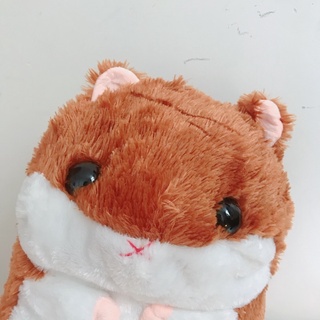 Gấu bông Hamster