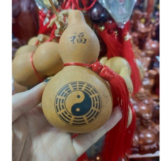 HỒ LÔ -QUẢ HỒ LÔ -HỒ LÔ HÚT LỘC