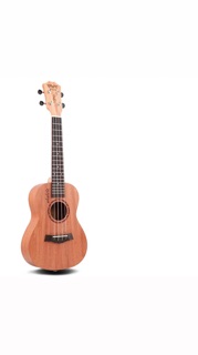 Ukulele BWS 23 full pk