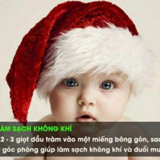 Dầu tràm Đan Viện Thiên An 100ml