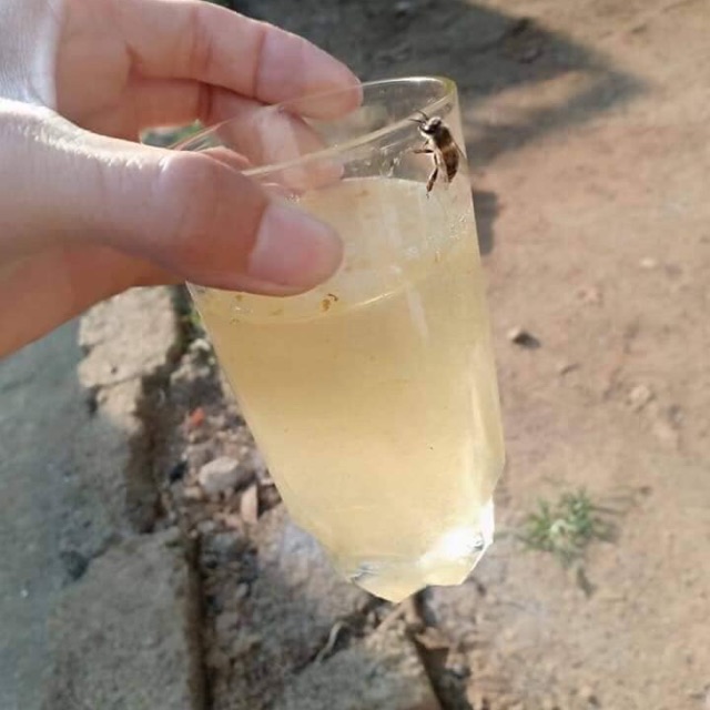 1 lít Mật ong trắng rừng( hoa Blongsoong) chuẩn sịn