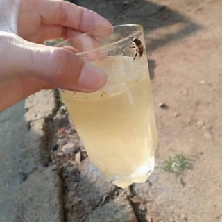 1 lít Mật ong trắng rừng( hoa Blongsoong) chuẩn sịn