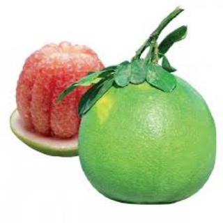 Bưởi da xanh ruột đỏ