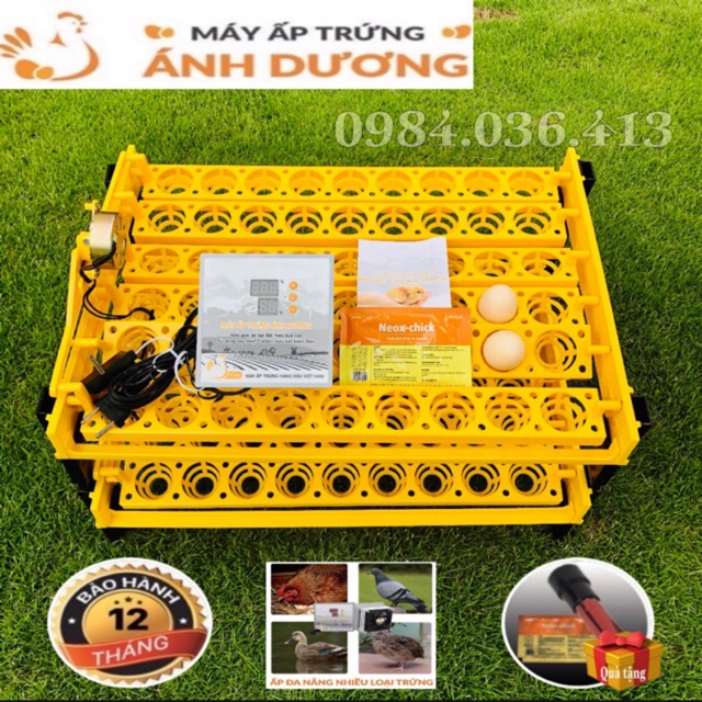 Máy ấp trứng mini Ánh Dương khay tự động đảo 108 quả TẶNG ĐÈN SOI TRỨNG và thuốc úm gà