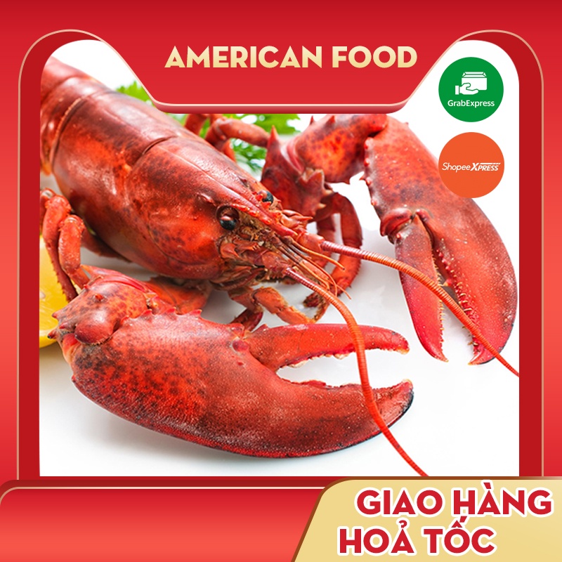 Tôm Hùm Alaska Đông Lạnh Nhập Khẩu