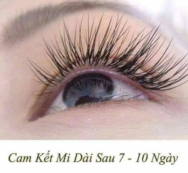 Serum dưỡng mi cao cấp