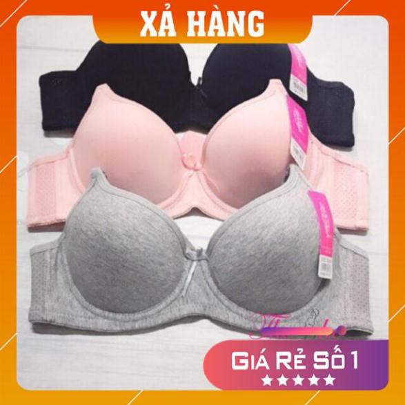 [Giá huỷ diệt] Áo Lót Cotton 613 Đệm Mỏng Siêu Đẩy