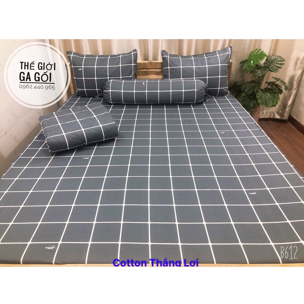❤️Ga Lẻ 1m2 x 2m 100% Cotton Thắng Lợi ❤️ ( Không kèm vỏ gối ) | BigBuy360 - bigbuy360.vn