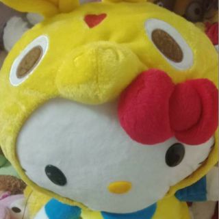 Gấu của chi le văn anh