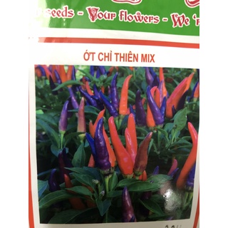 Hạt giống ớt chỉ thiên Mix ☘️