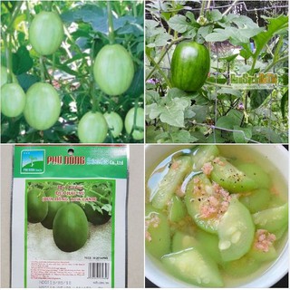 2Gr Hạt giống dưa hấu nụ  - dưa hồng, dưa canh