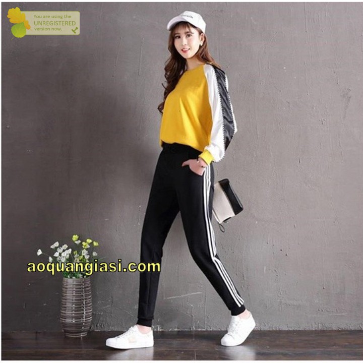 Quần Jogger thể thao 3 sọc CVDP MT287