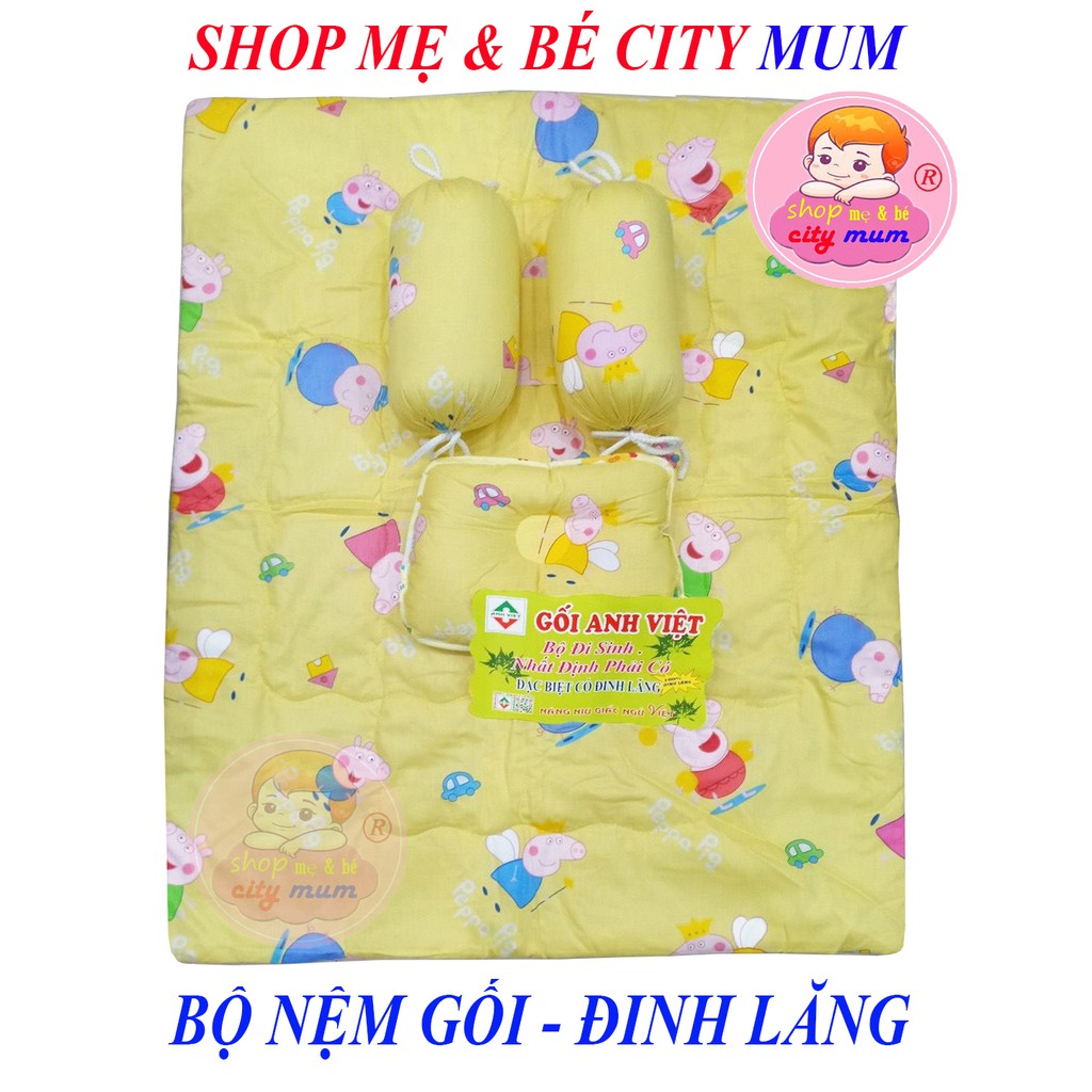 BỘ NỆM GỐI ĐINH LĂNG CAO CẤP CHO BÉ ( 2 GỐI ÔM+1GỐI NẰM + 1 NỆM)