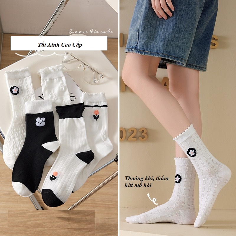 Set 5/10 Đôi Tất/Vớ Cao Cổ Chất Liệu Cotton Style Hàn Quốc Siêu Xinh