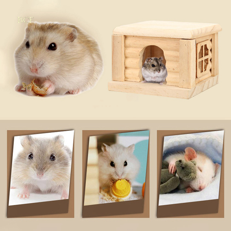 Nhà Đồ Chơi Dễ Thương Cho Chuột Hamster