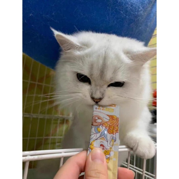 [Mã 253FMCGSALE giảm 8% tối đa 100K đơn 500K] Súp Thưởng Pet Snacks Cho Mèo - 15G