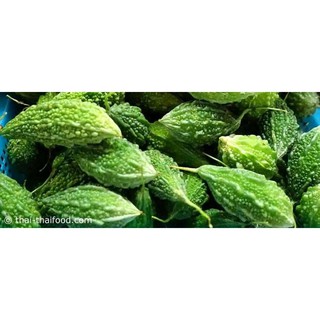 Hạt giống Mướp đắng (Khổ Qua) rừng thái lan