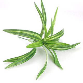 Cây lá dứa giả - Cây lá giả, lá phong, lá lúa, lá thóc,... trang trí nhà cửa, decor