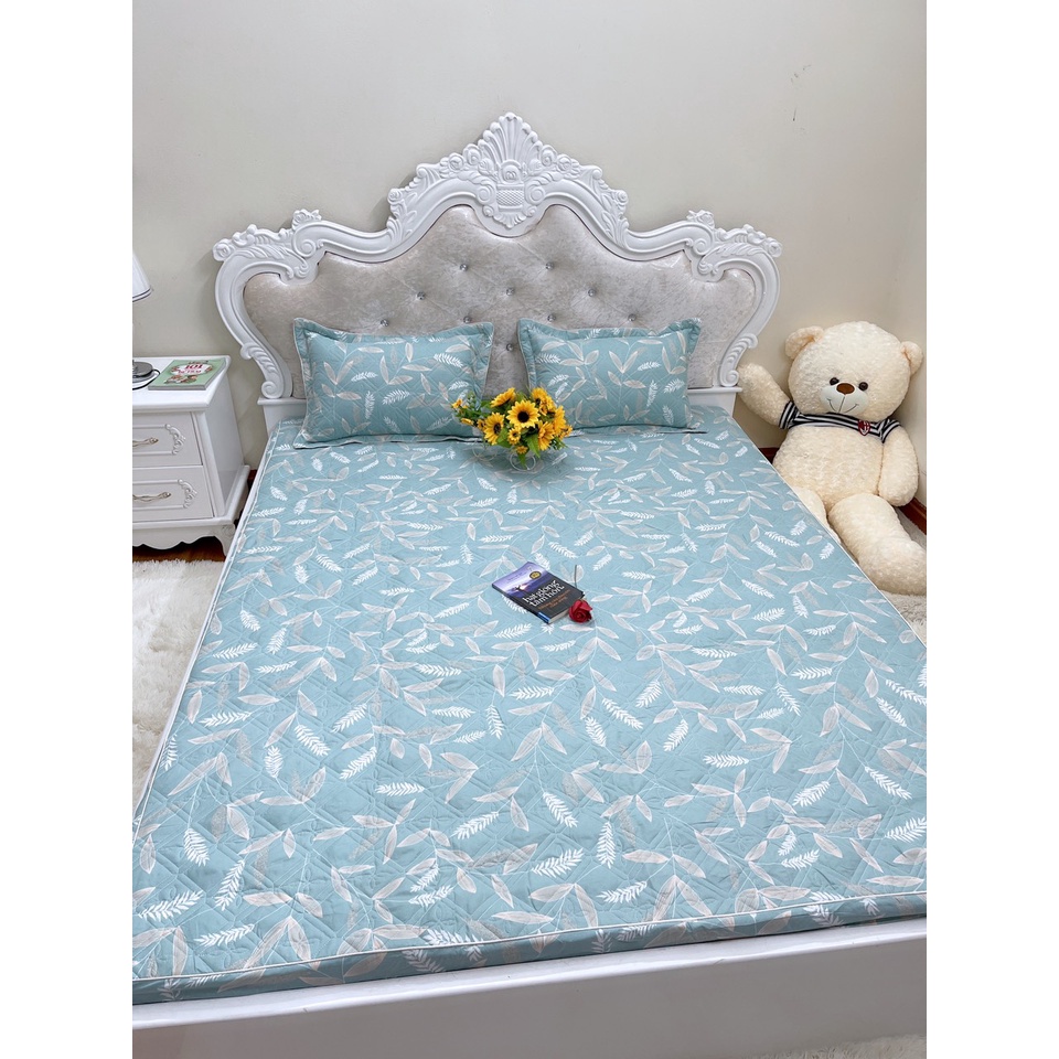 [Xả rẻ vô địch] Bộ 3 món ga gối poly chun trần bông cao cấp siêu êm siêu ấm - KT: m6, m8