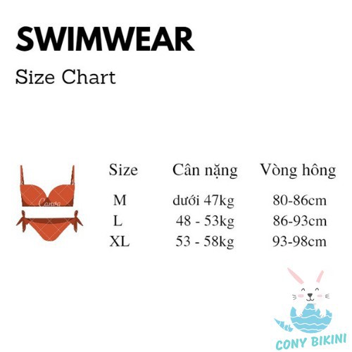 Bộ Đồ Bơi Đi Tắm Biển Nữ Bikini 2 Mảnh (1 Set Áo Bra Và Quần Lót) AO1718 - Phân Phối Nam Gym xịn