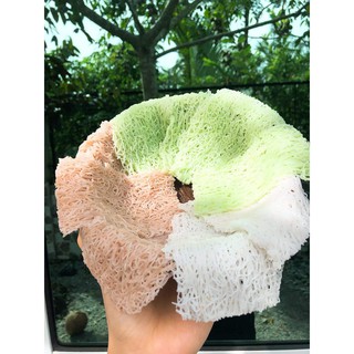 bánh hỏi tam sắc 340gr