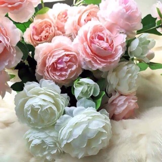 Hoa mẫu đơn lụa