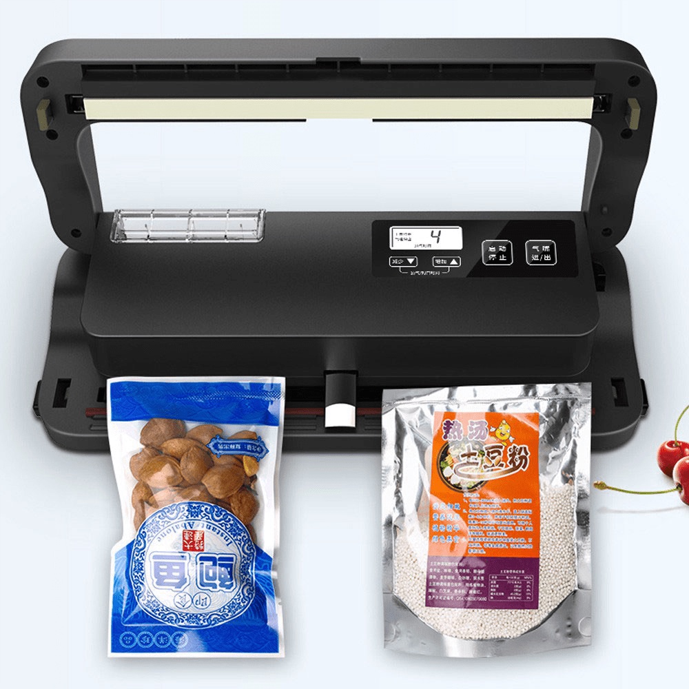 Máy hút chân không P290B