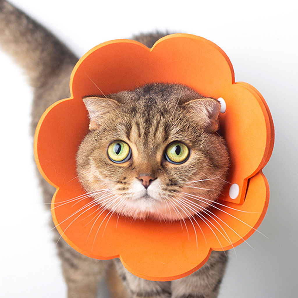 Vòng cổ chống liếm bằng EVA hình bông hoa bảo vệ thú cưng