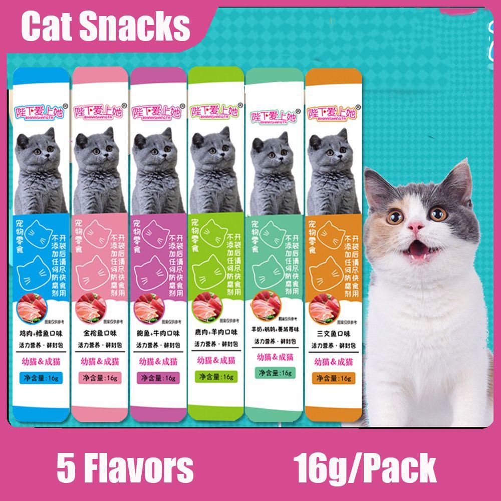 Bộ 10 Đồ Chơi Huấn Luyện Chuyên Dụng Dành Cho Mèo