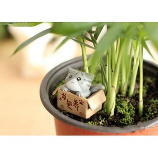 Mèo Ngồi Hộp - Phụ Kiện Trang Trí Tiểu Cảnh Sen Đá/Bonsai, Terrarium