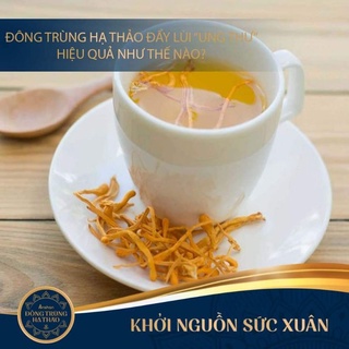 Đông trùng hạ thảo anshan - ảnh sản phẩm 6