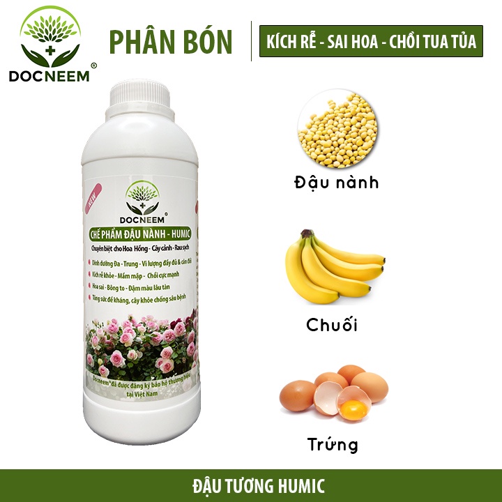 Combo phân bón hữu cơ đậu nành trứng chuối humic DOCNEEM kích mầm, chồi, hoa chuẩn form trên hoa hồng 2 Lít