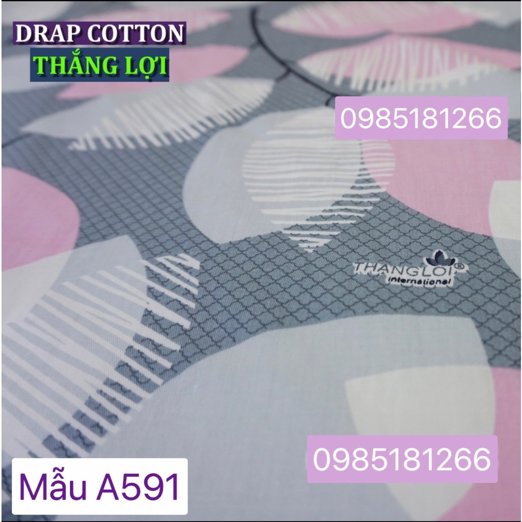 Bộ Drap Cotton 100% Thắng Lợi chính hãng IN LOGO THẮNG LỢI, giặt được bằng tay và máy (ảnh Thật)