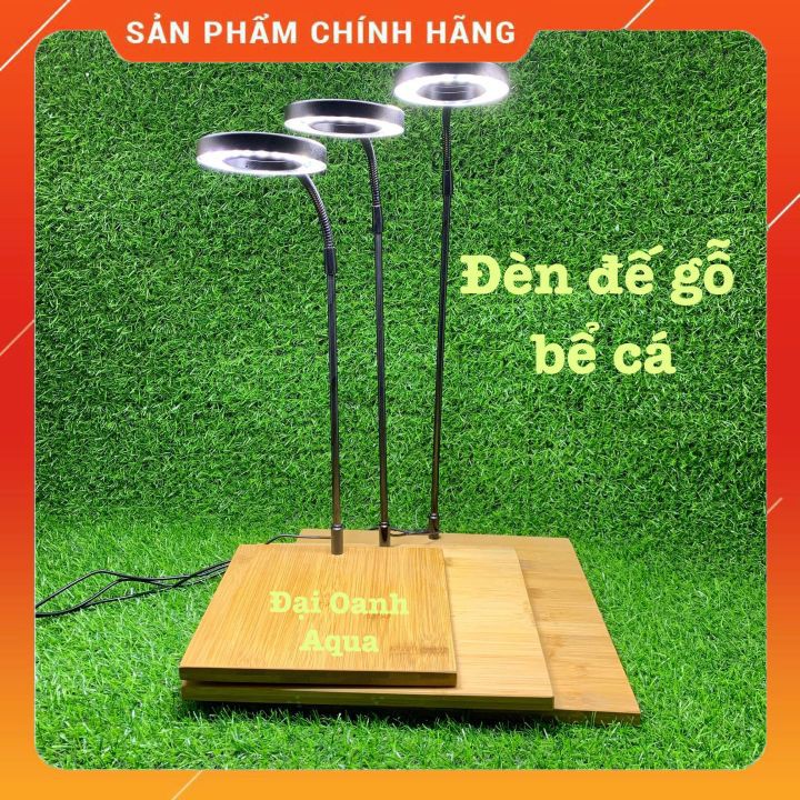 Đèn Led Kèm Đế Gỗ Cho Bể Bán Cạn, Thủy Sinh, Tiểu Cảnh Mini Đế Gỗ