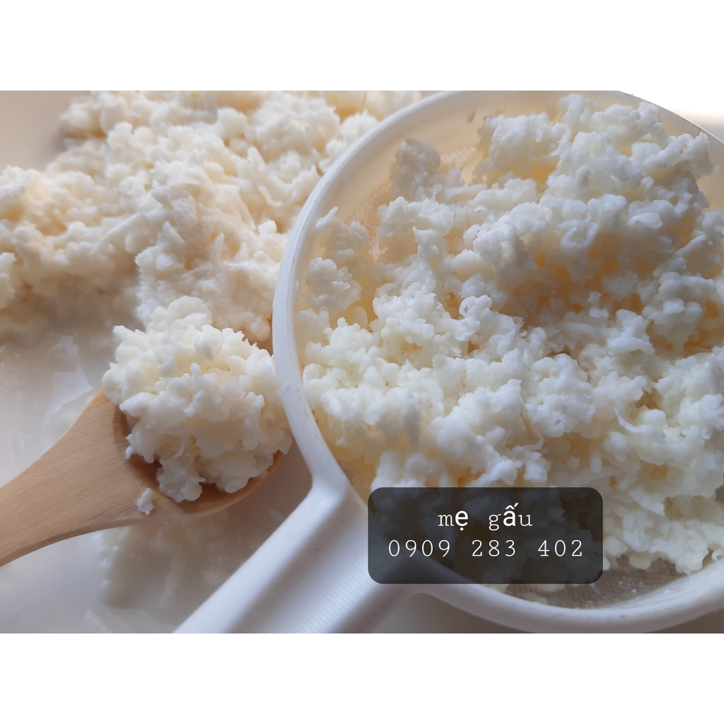 Nấm làm sữa chua