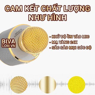 Mic Karaoke Bluetooth - Phiên bản mới