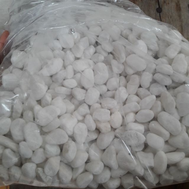 1kg sỏi trắng trang trí